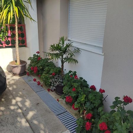 Apartments Ratkovic Trebinje Exterior photo